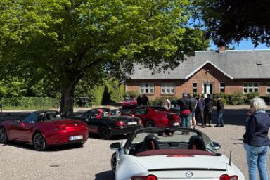 IMG_5469.jpeg IMG_5469.jpeg